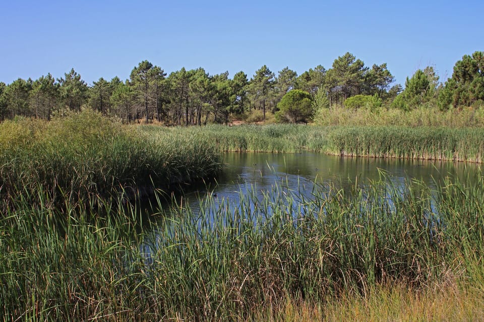 The lake at the back of the villa