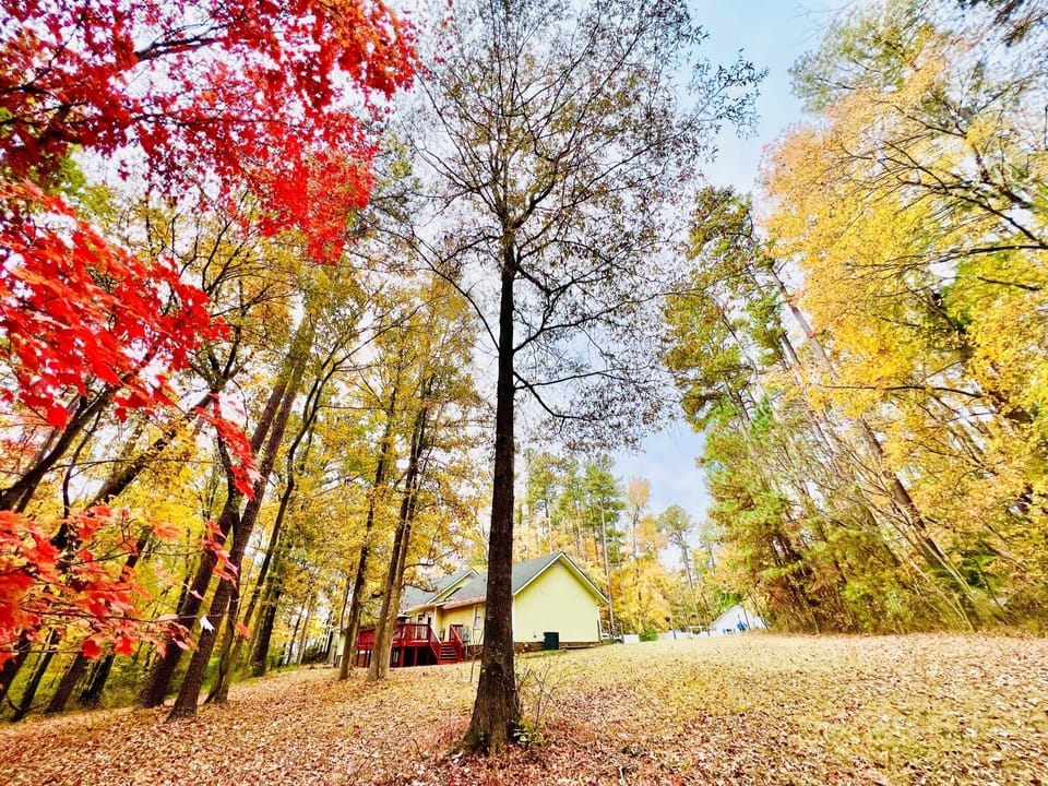 2022 Fall Back Yard