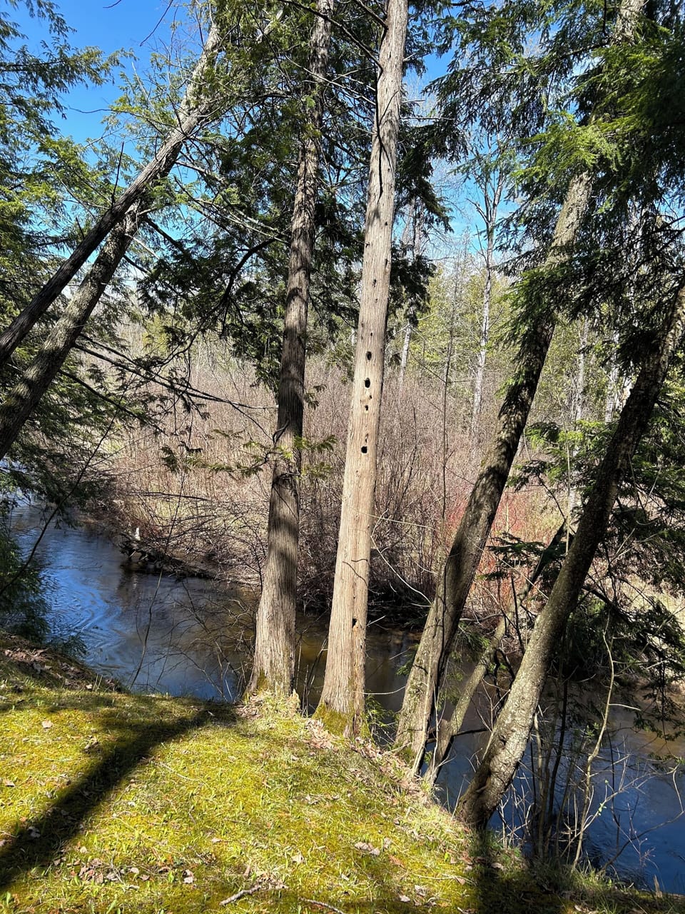 Living among nature.