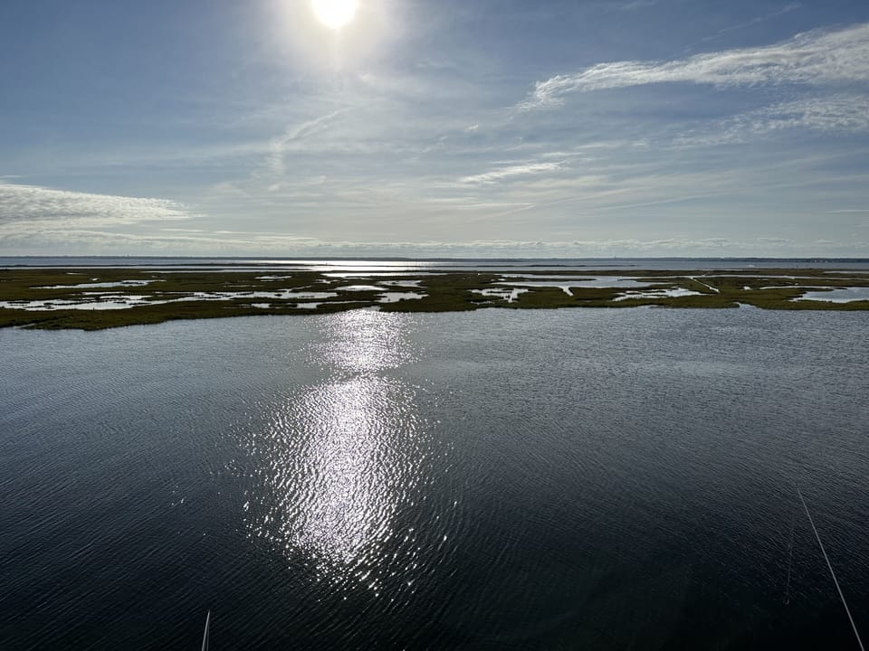 Protected wildlife sanctuary view 