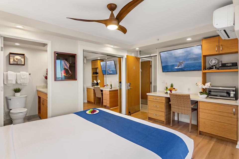 Ceiling fan to supplement split AC sysgtem