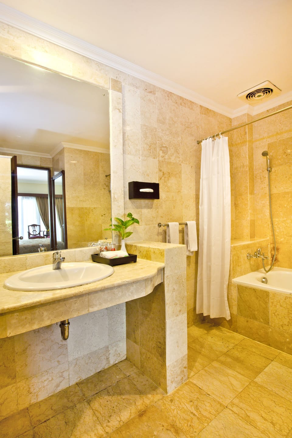President Suite  | Bathroom | Separate tub and shower, free toiletries, hair dryer, towels