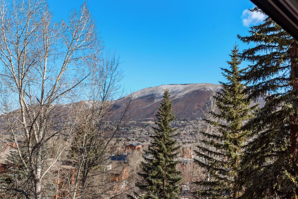 The view of Red Mountain and the town of Aspen, just a few short blocks away.