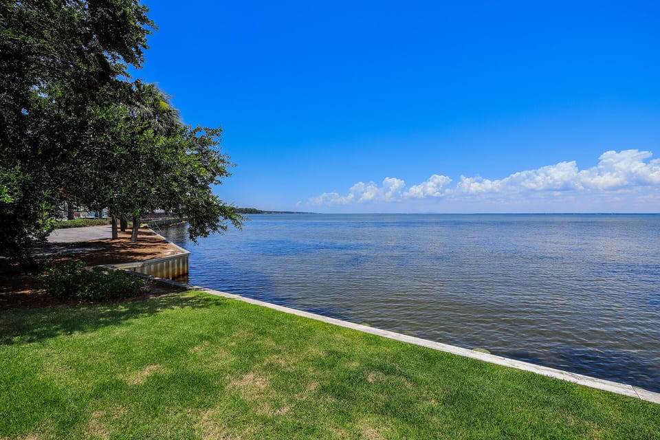 View from Screened Porch and Backyard