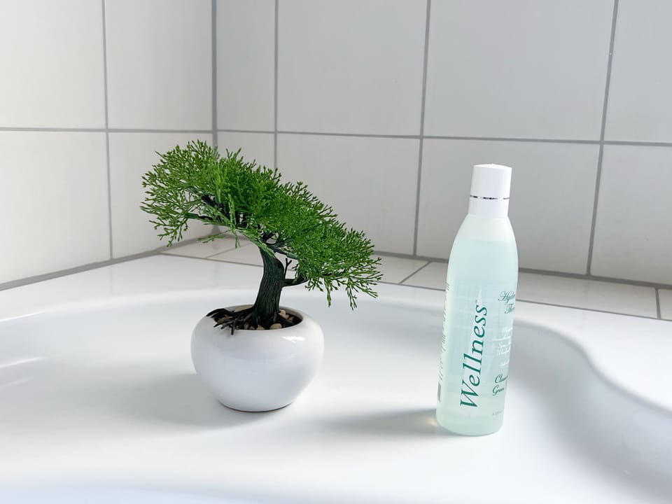 Bathroom amenities
