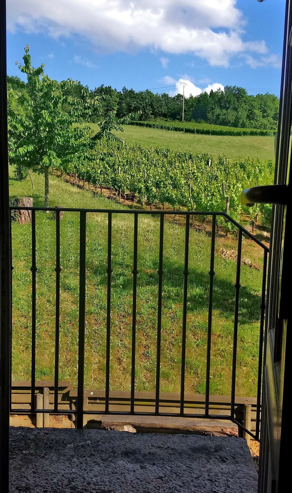 Property grounds
