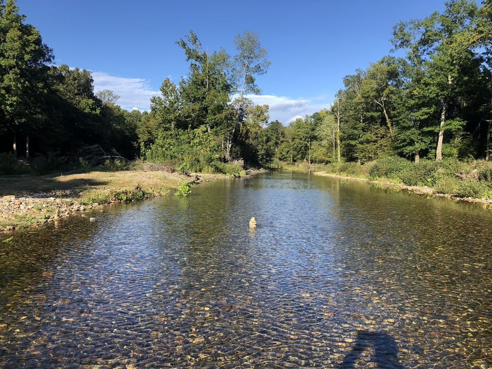Lake