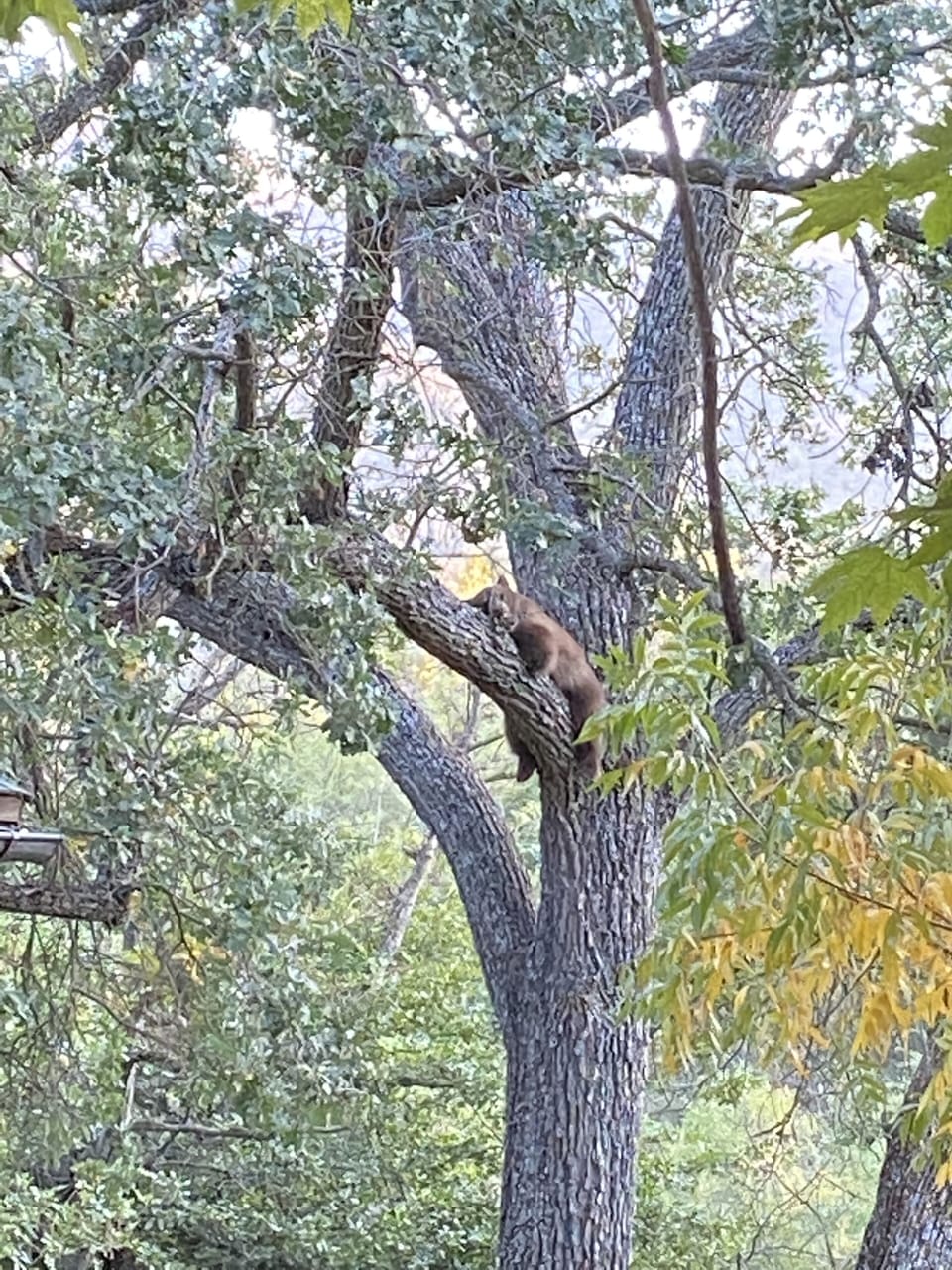 Nap time Three, Rivers