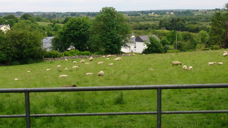 Apartment, 1 Bedroom, Smoking, Balcony | Exterior