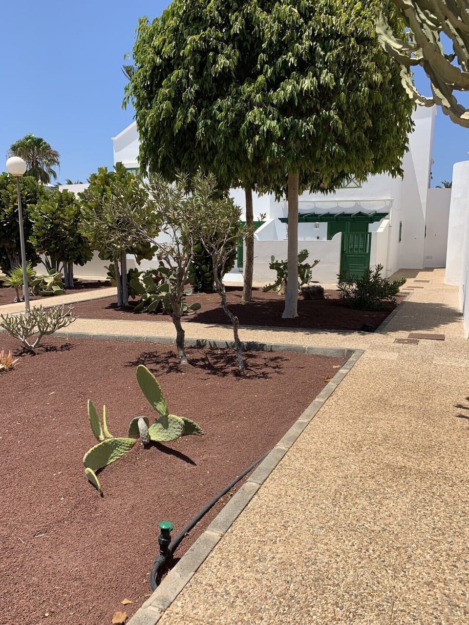 Entrada