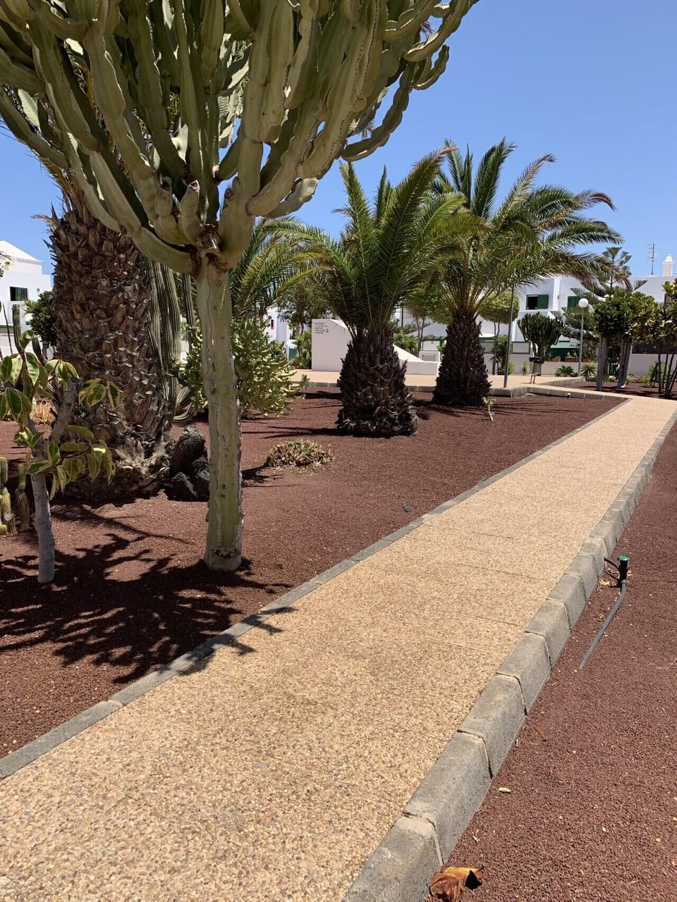Paisaje natural