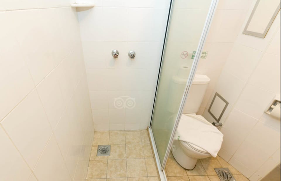 Hair dryer, bidet, towels