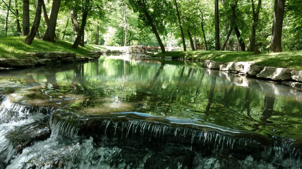 Beauty in the Ozarks