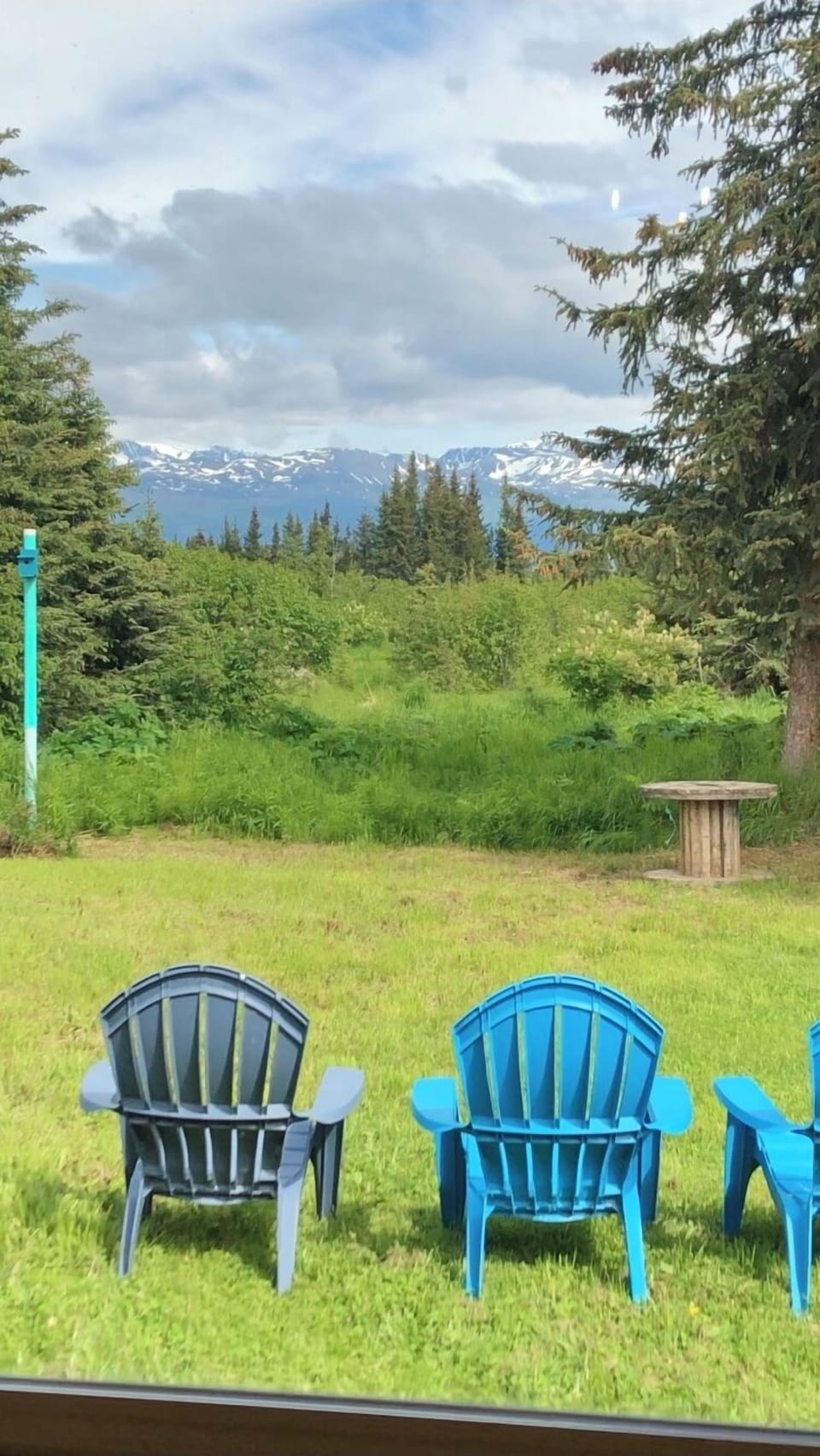 Summer view from living room 
