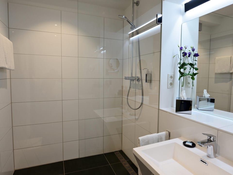 Rainfall showerhead, designer toiletries, hair dryer, electronic bidet