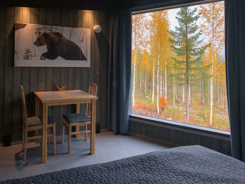 Bear Centre Apartment hotel in Finland