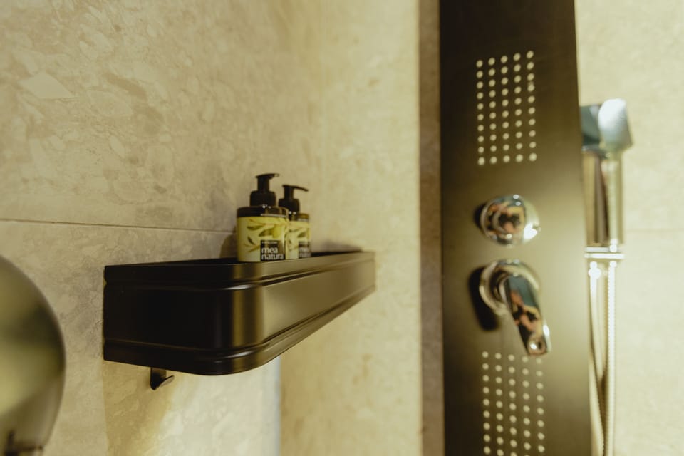 Deluxe Room | Bathroom | Shower, hydromassage showerhead, hair dryer, bathrobes