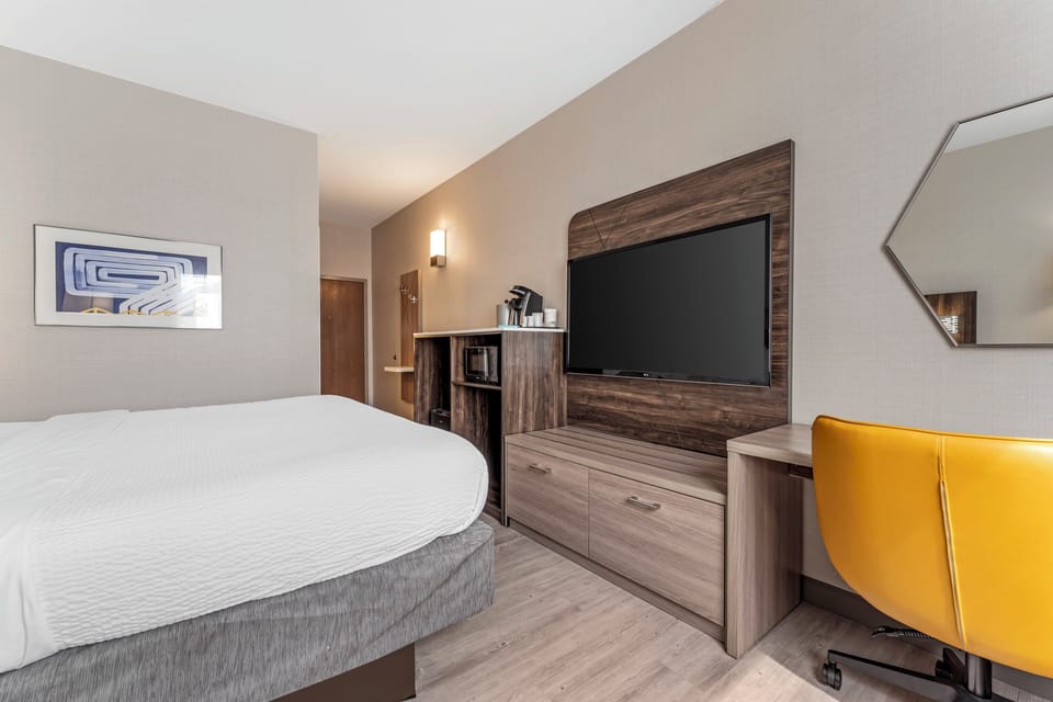 Standard Room, 1 King Bed | Hypo-allergenic bedding available, pillowtop beds, in-room safe, desk