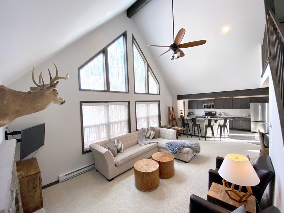 View of living room and kitchen