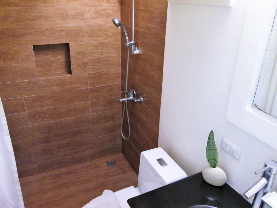 Shower, free toiletries, hair dryer, towels