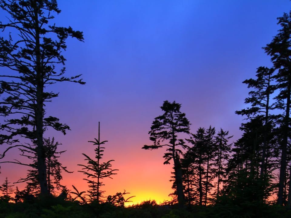 Ucluelet sunset