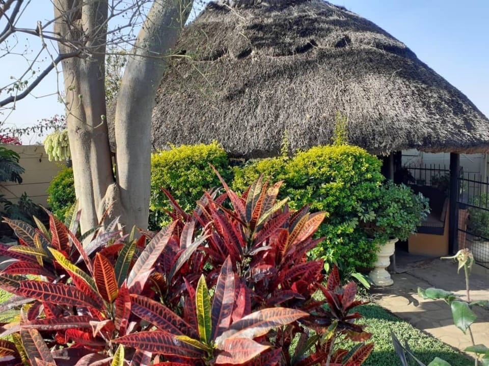 House | Property grounds