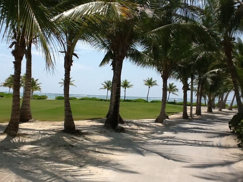 Spacious 3 BDR fully-equipped condo with pool and golf view (1755)