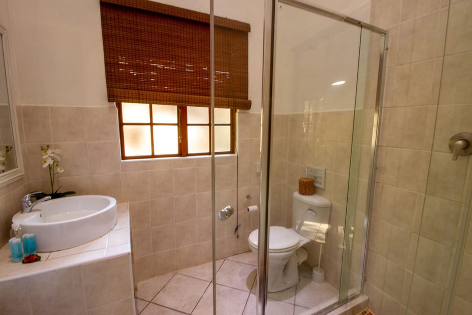 Basic Room | Bathroom | Shower, free toiletries, hair dryer, towels