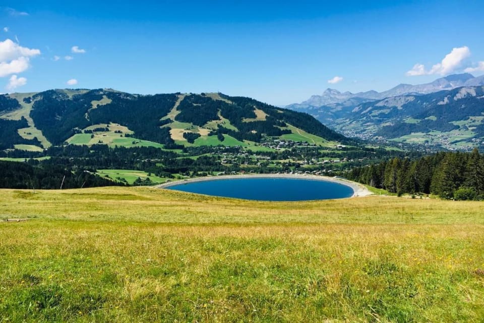 Region [summer] (>5 km)