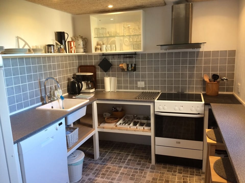 Apartment, 1 Bedroom | Private kitchen | Fridge, oven, stovetop, coffee/tea maker