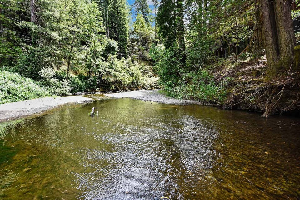 Austin Creek is accessible from the back yard.