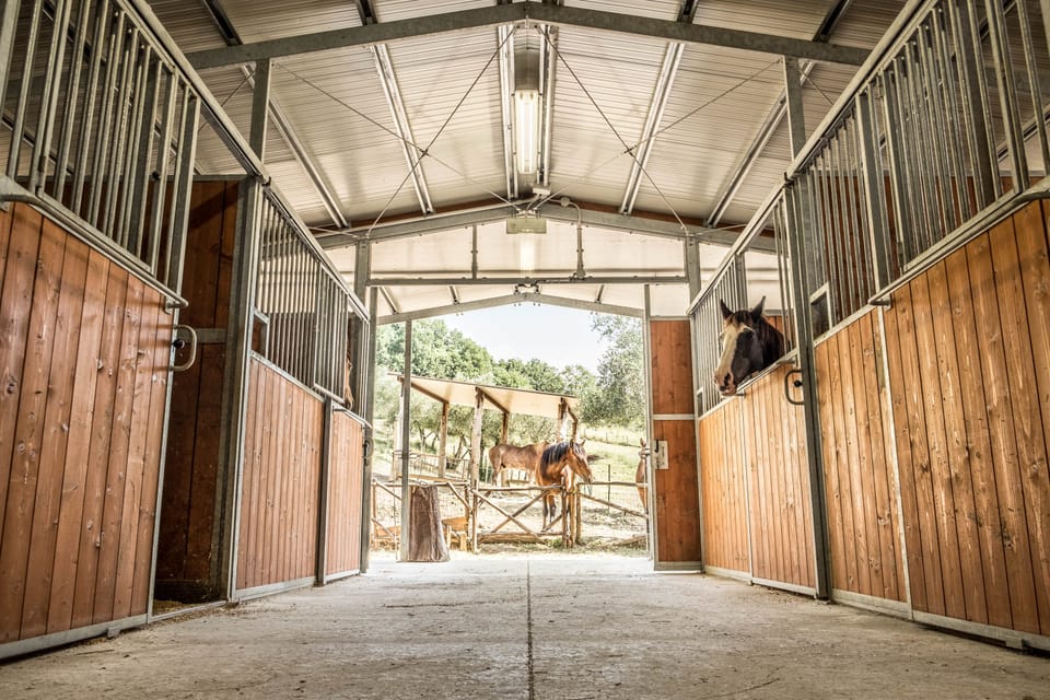 Horseback riding