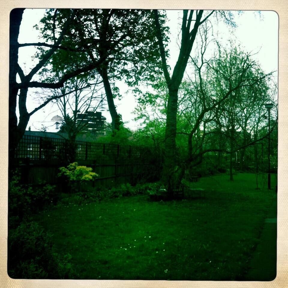 Large shared enclosed garden safe for doggies to roam