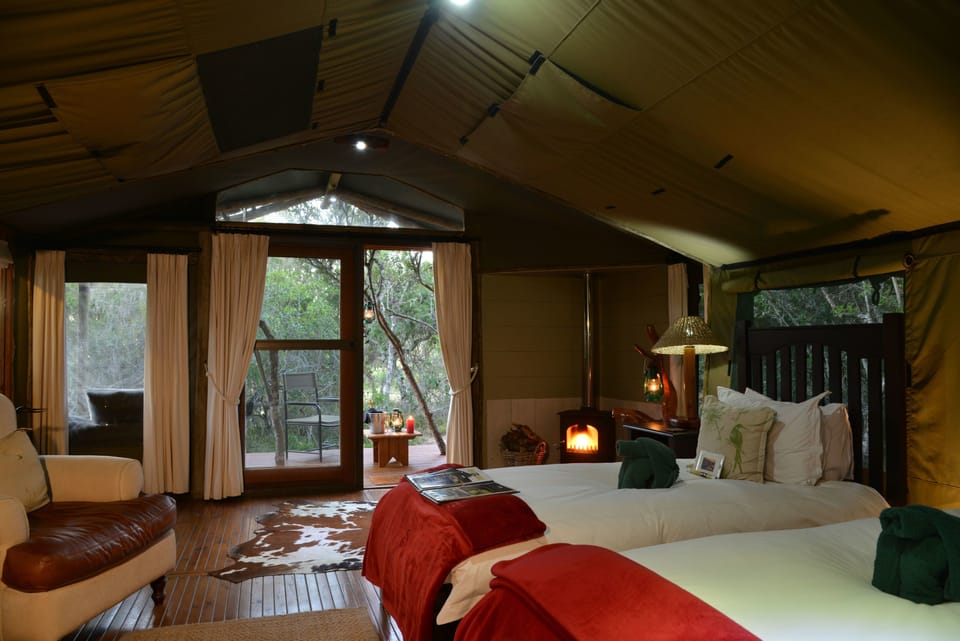 Forest Camp | Hypo-allergenic bedding, in-room safe, individually decorated