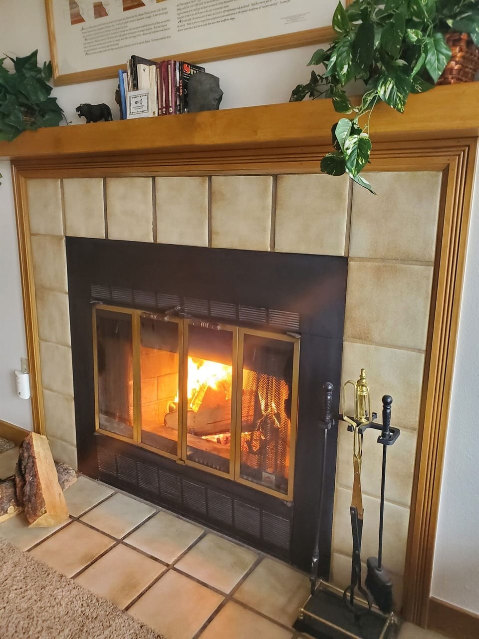 Fireplace