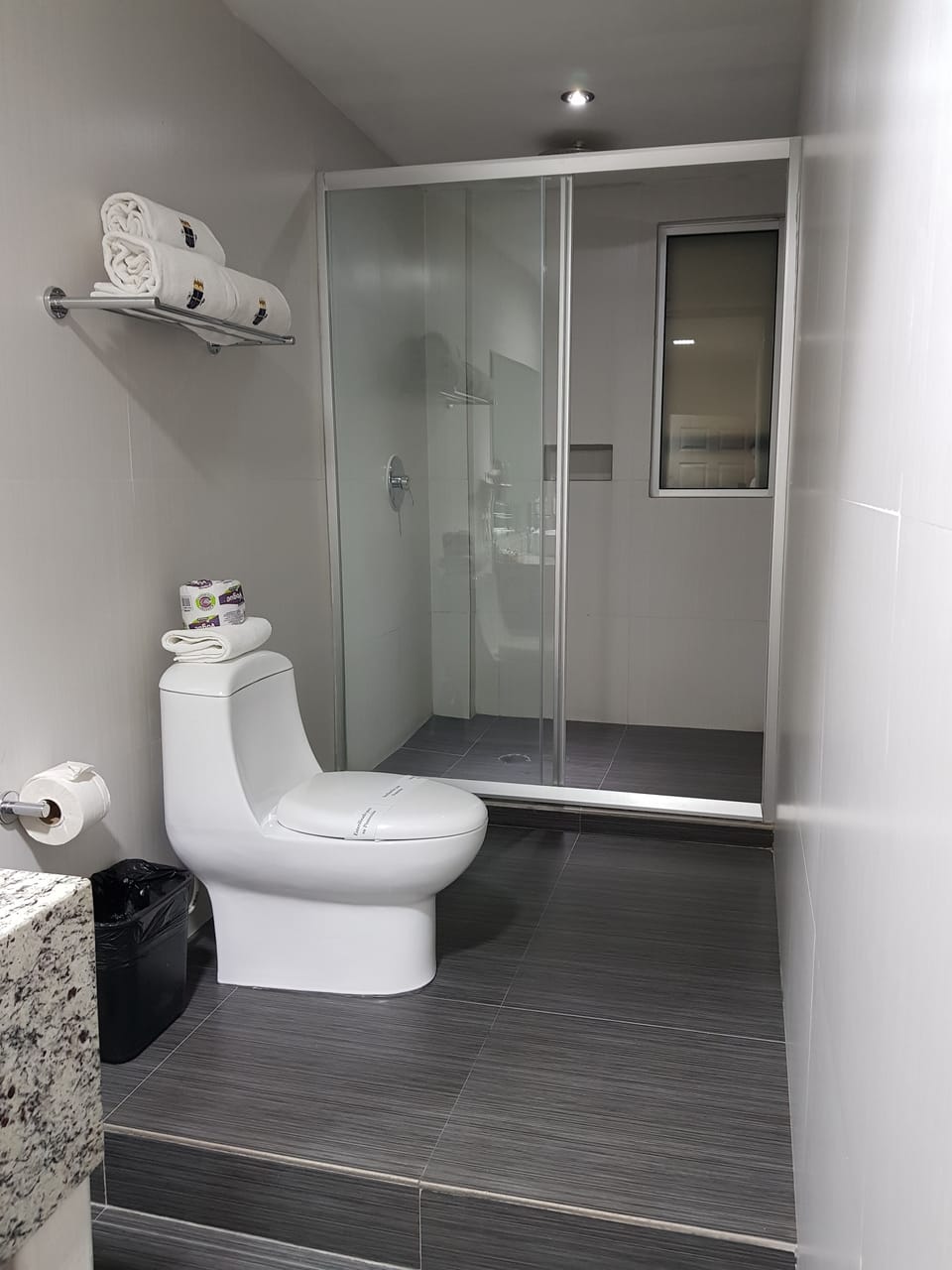 Premium Suite, Multiple Beds | Bathroom | Shower, hair dryer, towels