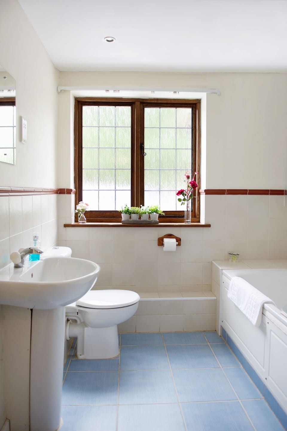 Combined shower/tub, free toiletries, hair dryer, towels