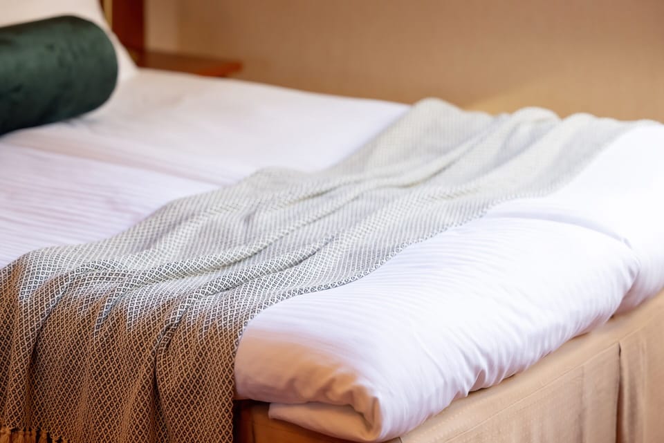 Double Room (in the attic) | Minibar, in-room safe, desk, iron/ironing board