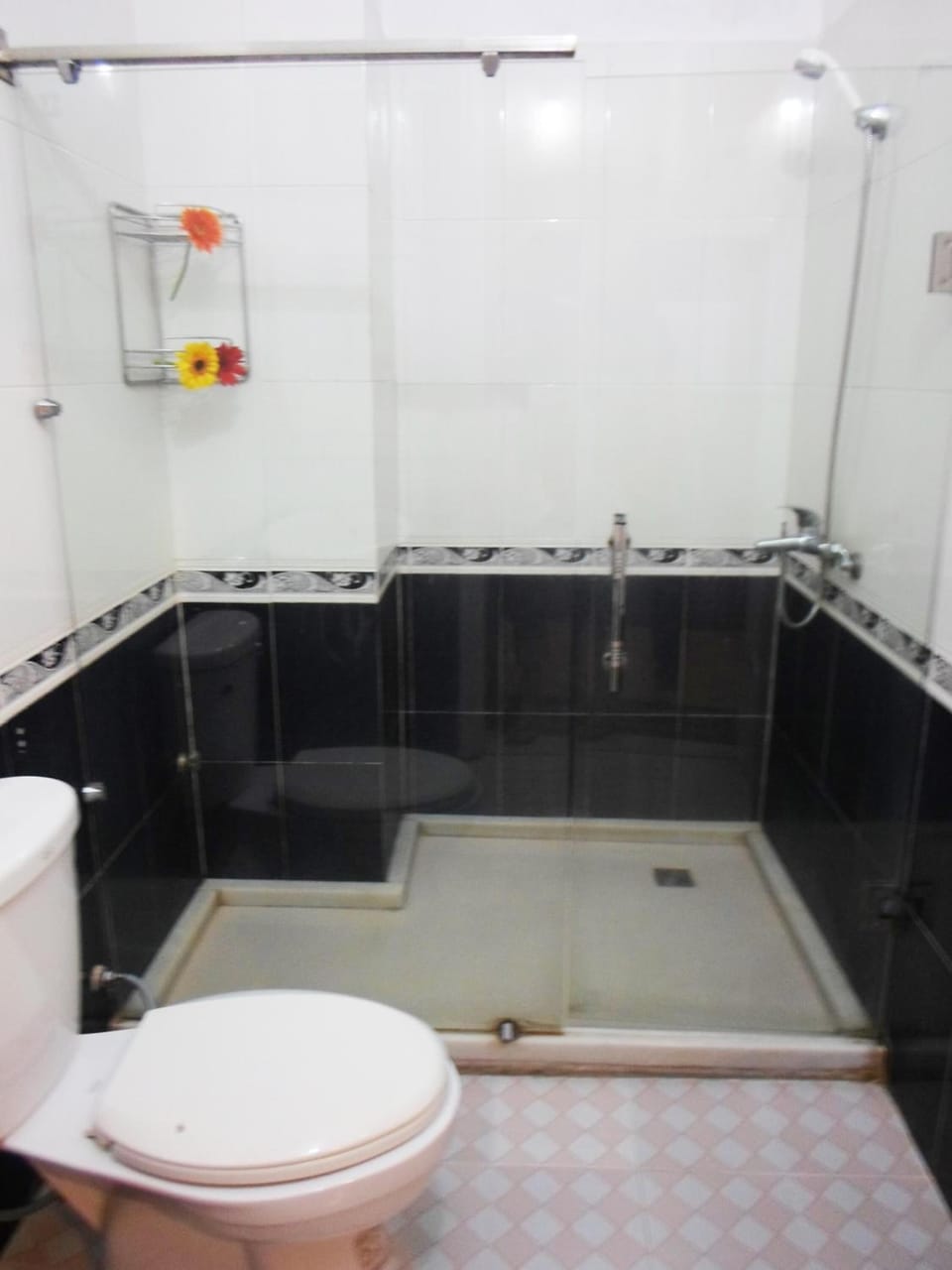 Shower, hair dryer, slippers, bidet