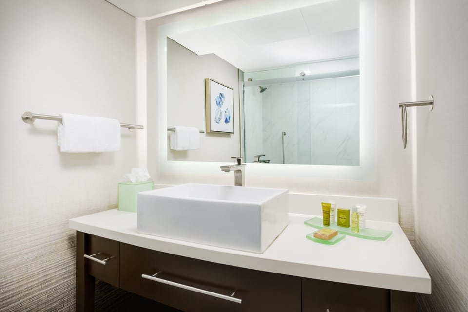 Combined shower/tub, eco-friendly toiletries, hair dryer, towels