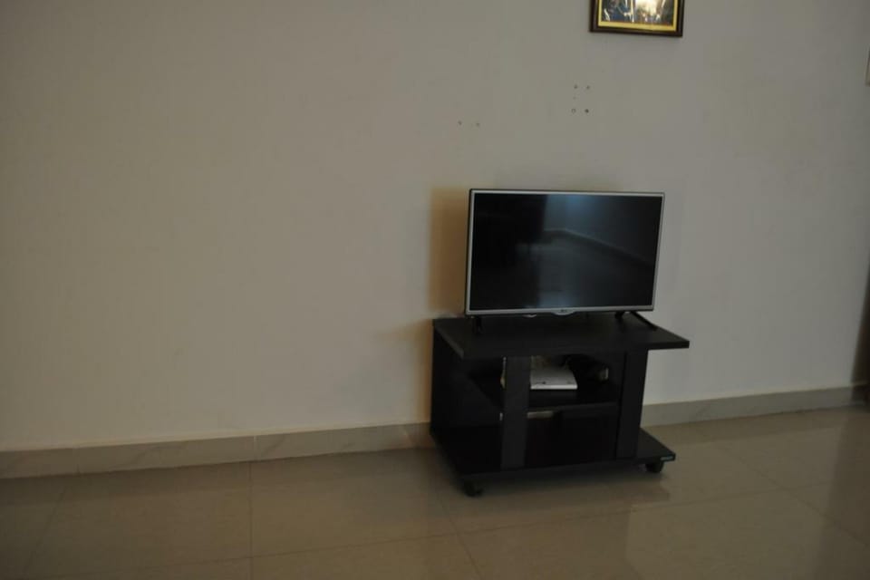 Television