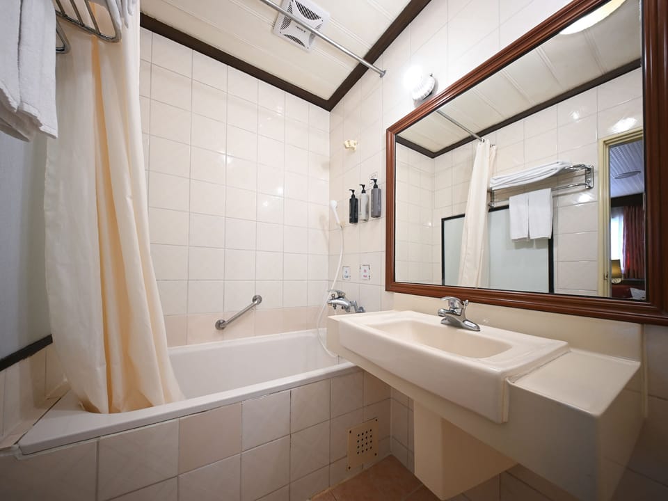 Deluxe Twin Room | Bathroom | Hair dryer, towels, shampoo, toilet paper