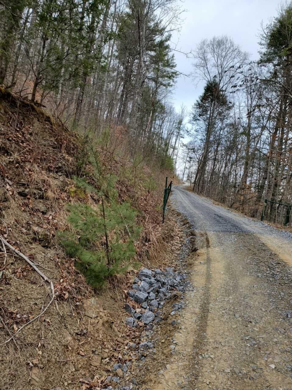 1st Section Mountain Driveway/Private Rd. 