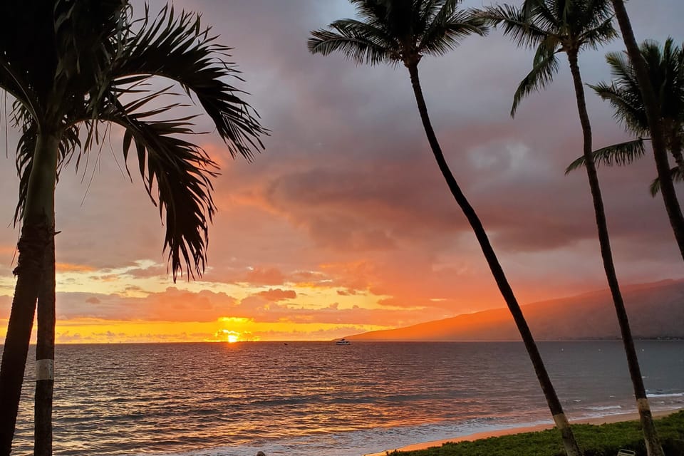 Amazing sunsets every night await you!