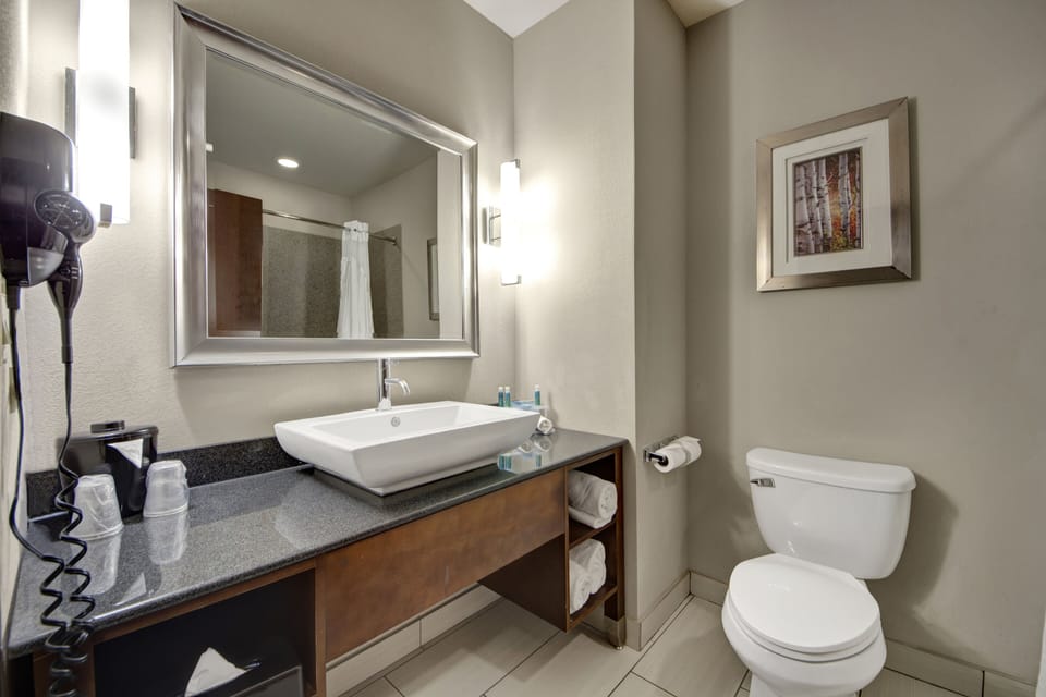 Combined shower/tub, free toiletries, hair dryer, towels