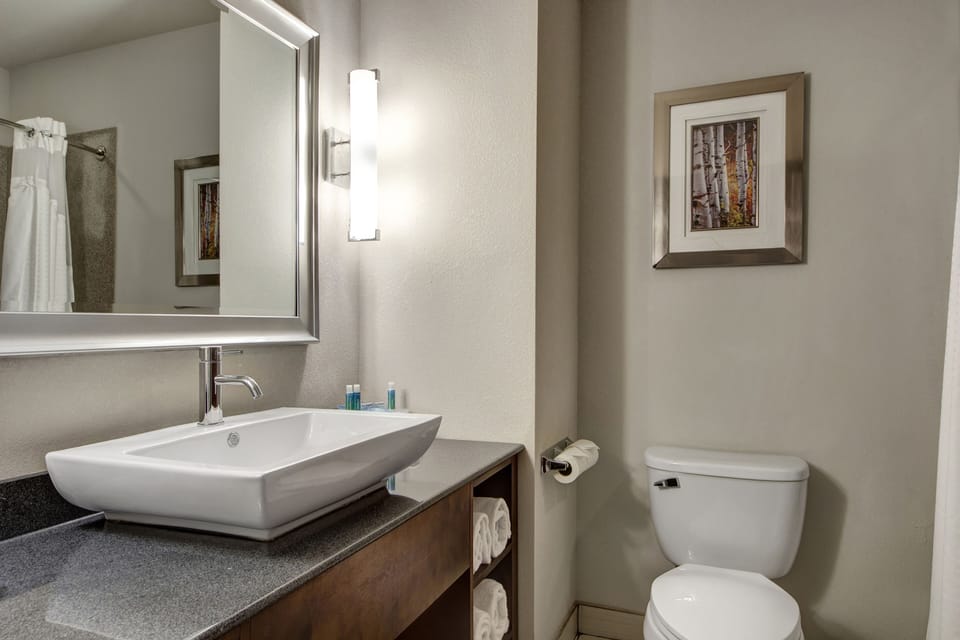 Combined shower/tub, free toiletries, hair dryer, towels