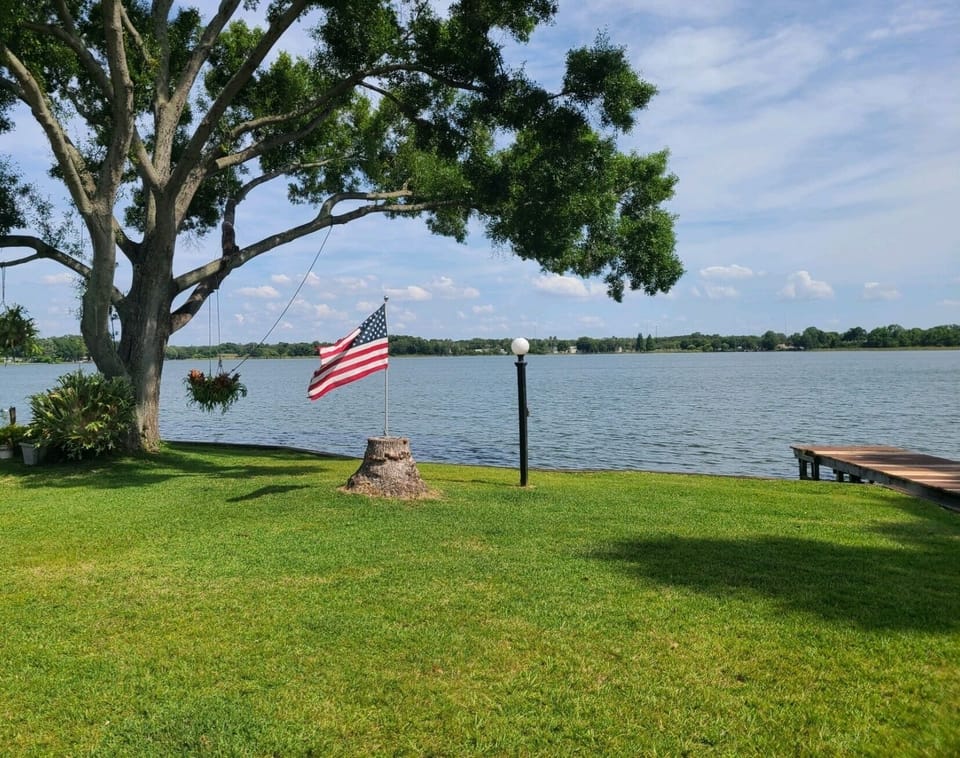 Backyard view