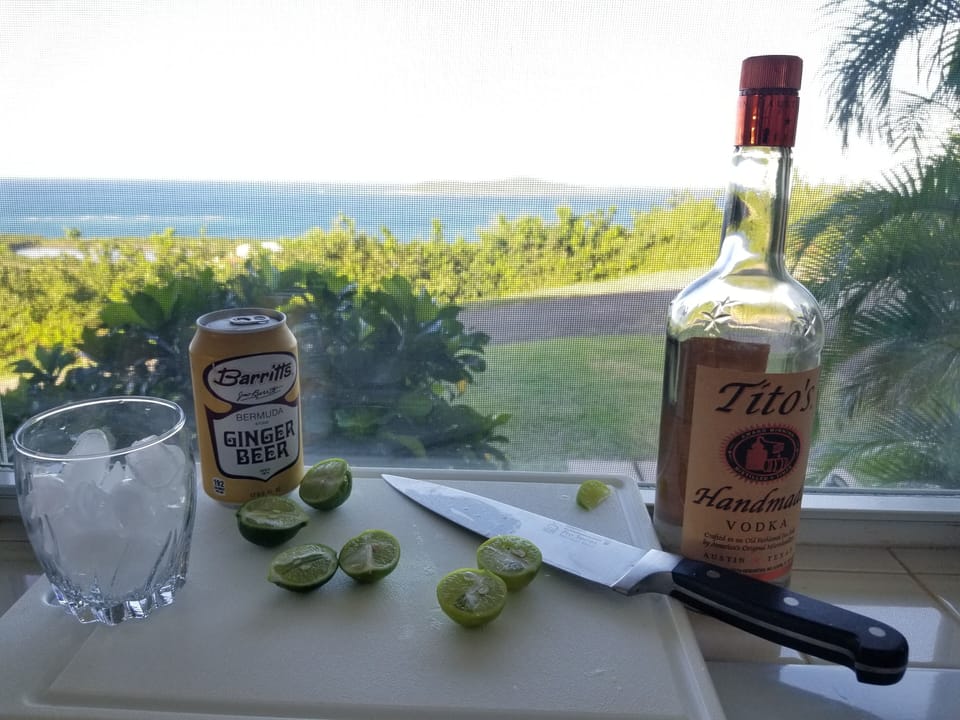 View from the kitchen windows while making afternoon cocktails 🍹