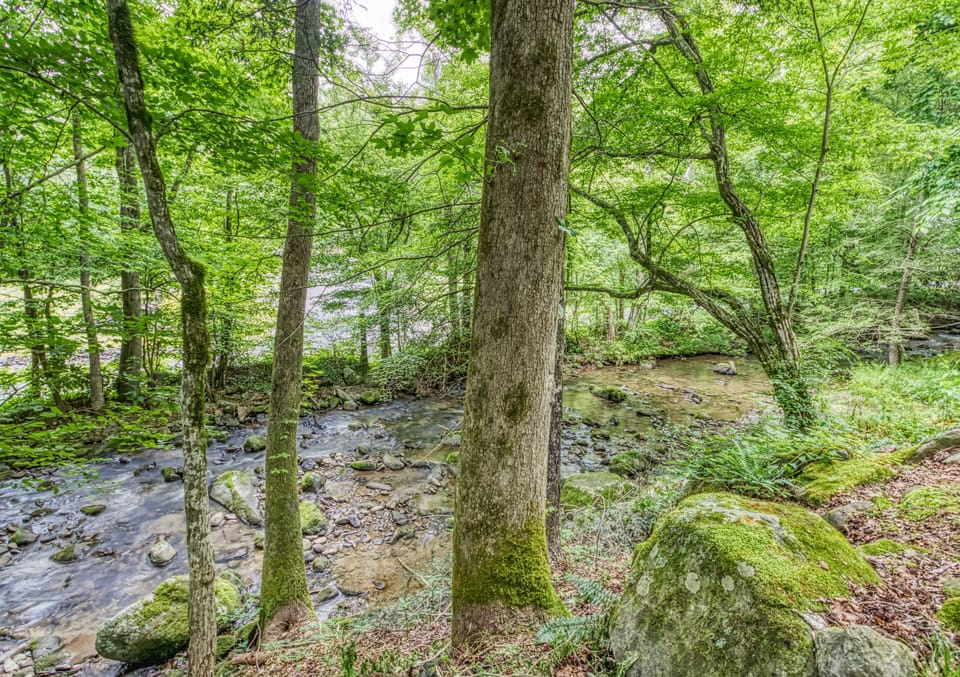 Creekside Cabin near Gatlinburg