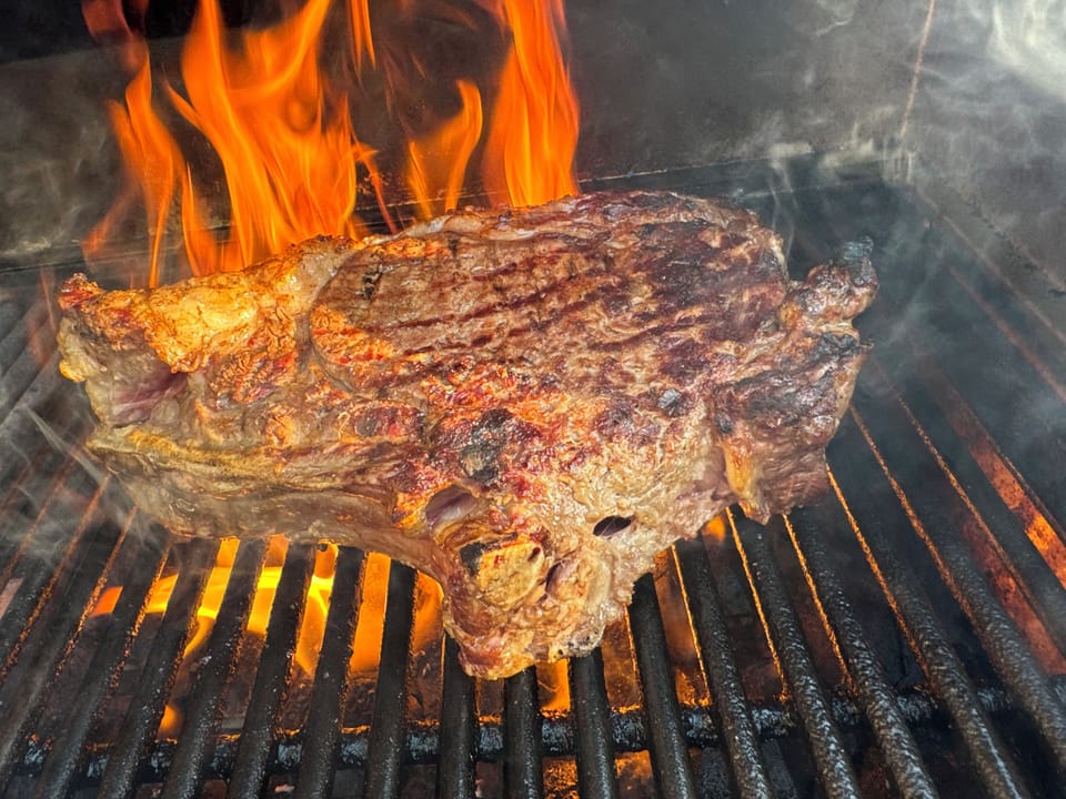 Large Gas BBQ